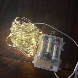 Warm White String Lights with Battery Pack
